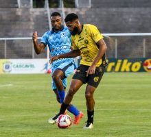 55031021832_01ef55c632_o