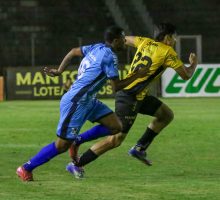 55032255890_194976690b_o