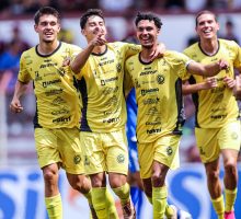 55032620340_b40cbbabef_o