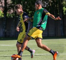 55050663719_61ffa2b0ce_o