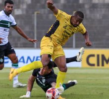 55059170491_5282024e9c_o