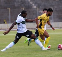 55059170591_a02835fe6d_o