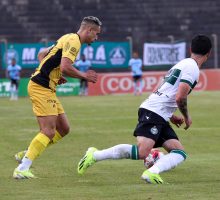 55059418604_98df43e728_o