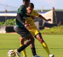 55172861457_fed8c1636c_o