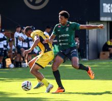 55172861552_b20b052896_o