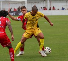 55202388313_758ceee748_o