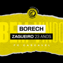 Borech