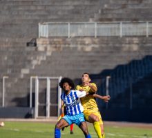 IMG_8279